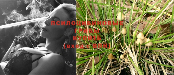 молекула духа Надым