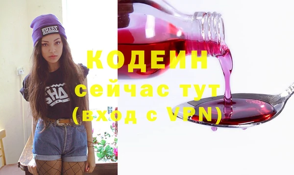 молекула духа Надым