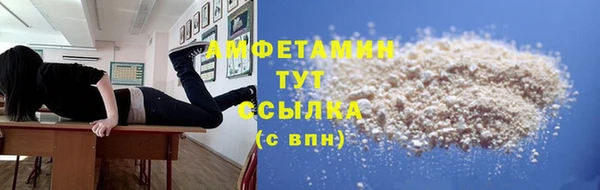 молекула духа Надым