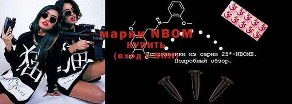 молекула духа Надым