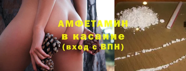 молекула духа Надым