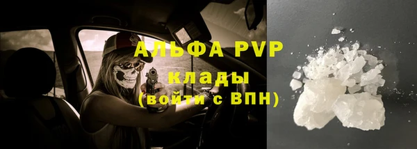 молекула духа Надым