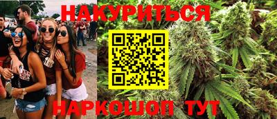 крисы Абакан