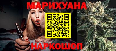 крисы Абакан