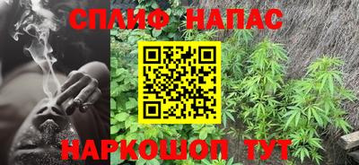 крисы Абакан