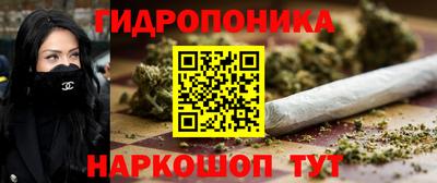 МДПВ Гатчина