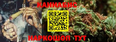 крисы Абакан
