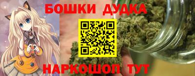 крисы Абакан