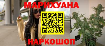 крисы Абакан