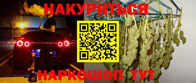 крисы Абакан