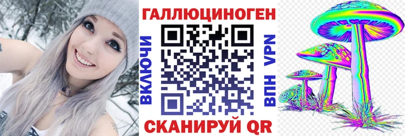 купить   Майкоп  Псилоцибиновые грибы прущие грибы 