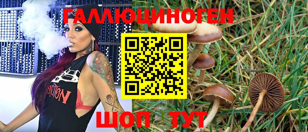 Галлюциногенные грибы MAGIC MUSHROOMS  купить  цена  Майкоп  Вход с VPN 