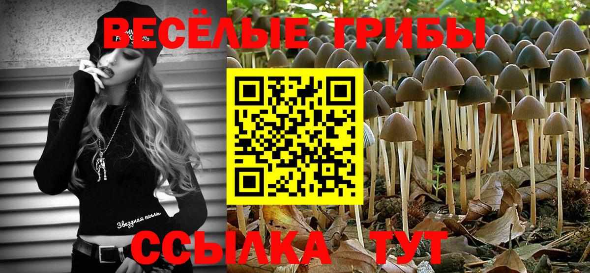 даркнет сайт  Псилоцибиновые грибы MAGIC MUSHROOMS  Вход с VPN  Майкоп 