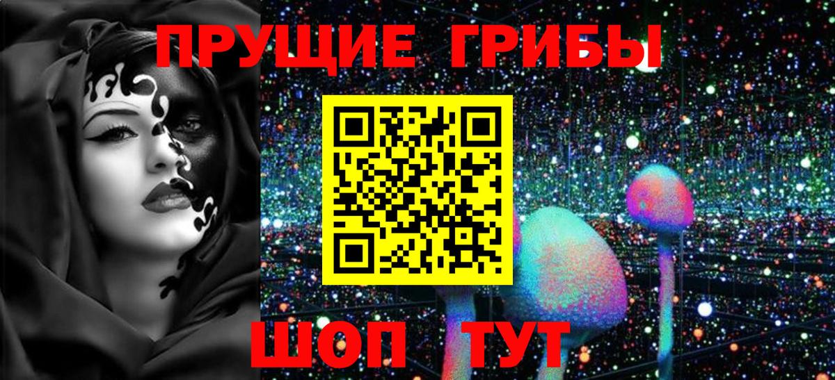 Псилоцибиновые грибы прущие грибы Майкоп