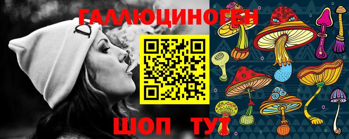 Псилоцибиновые грибы Cubensis Майкоп