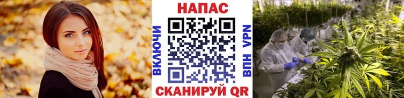 что такое наркотик  Майкоп  Шишки марихуана планчик 